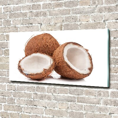 Cuadro acrílico horizontal Coco