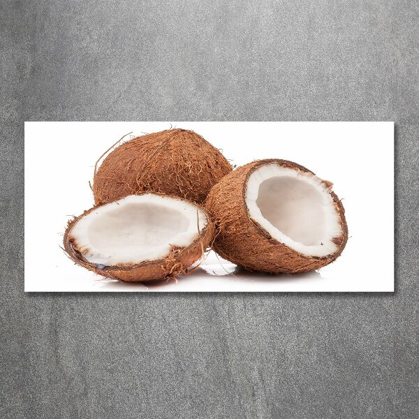 Cuadro acrílico horizontal Coco
