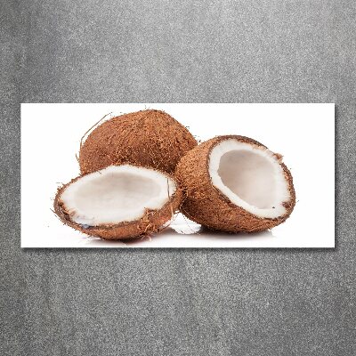 Cuadro acrílico horizontal Coco