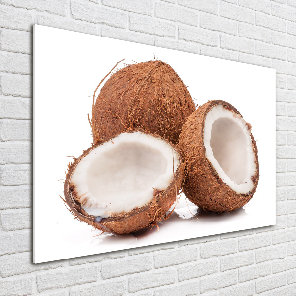 Cuadro acrílico horizontal Coco