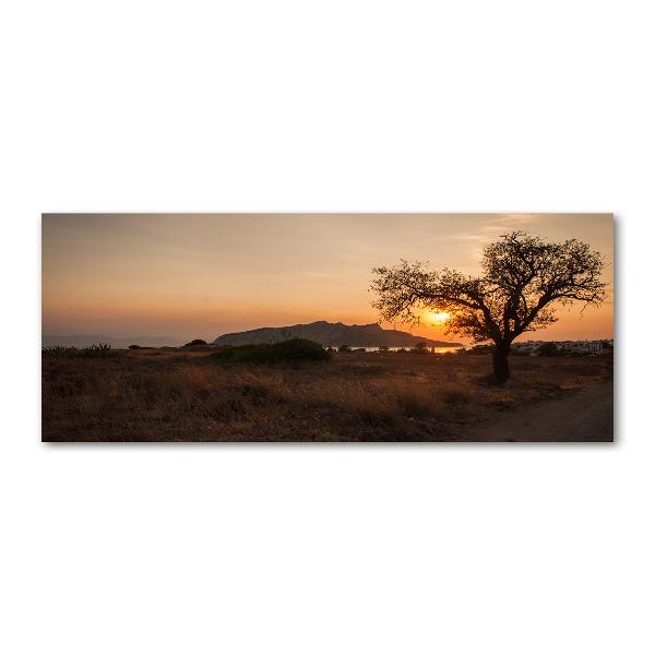 Cuadro acrílico horizontal Atardecer