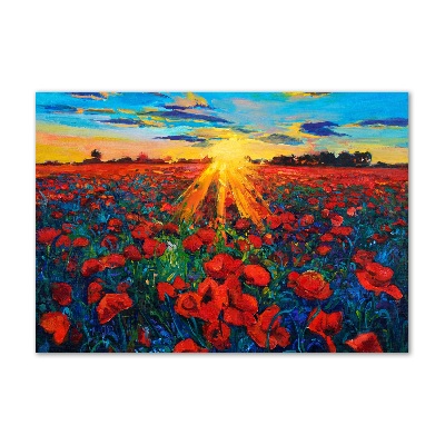 Foto en metacrilato horizontal Campo de amapolas