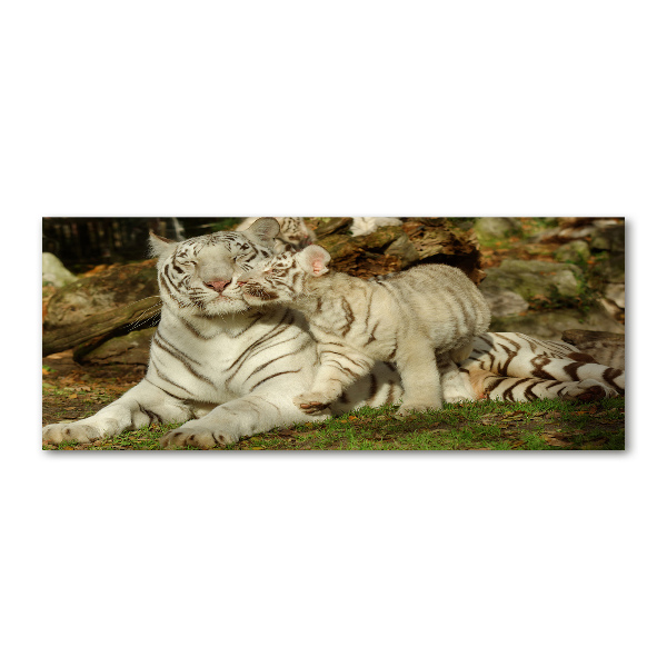 Pintura en acrílico horizontal Tigres