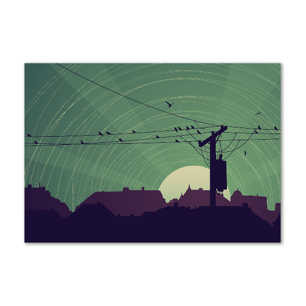 Foto en metacrilato horizontal Ciudad de los pájaros