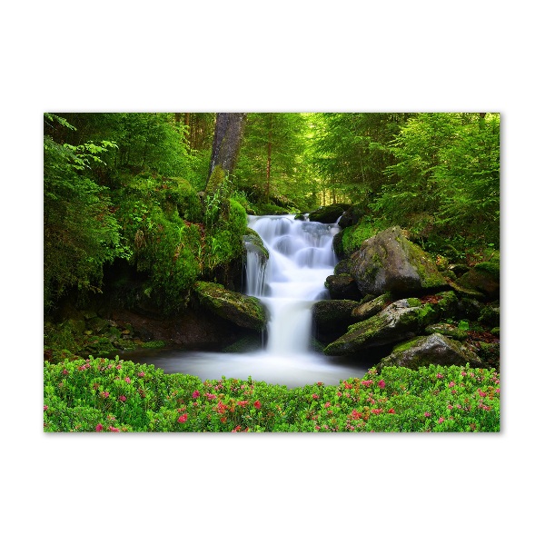 Cuadro metacrilato horizontal Cascada en el bosque