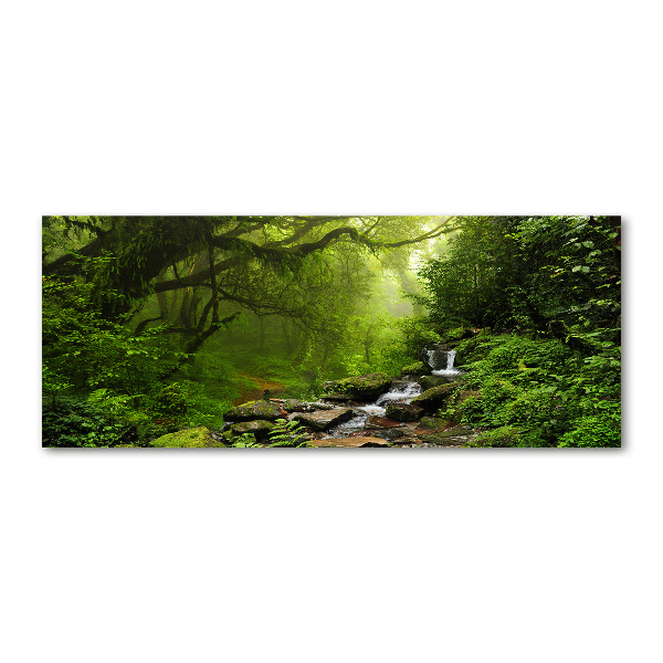 Foto en metacrilato horizontal Jungla en Nepal