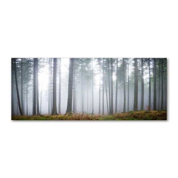 Cuadro acrílico horizontal Niebla en el bosque
