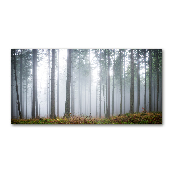 Cuadro acrílico horizontal Niebla en el bosque