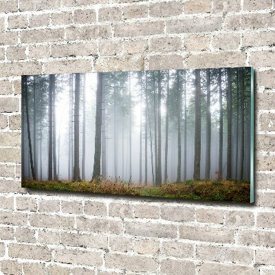 Cuadro acrílico horizontal Niebla en el bosque