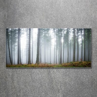 Cuadro acrílico horizontal Niebla en el bosque