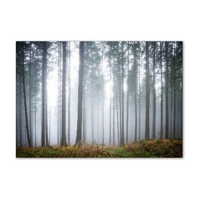 Cuadro acrílico horizontal Niebla en el bosque