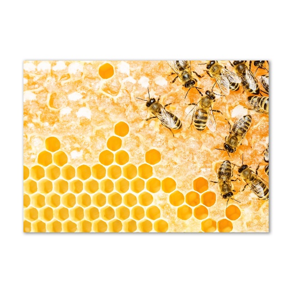 Foto en metacrilato horizontal Abejas obreras
