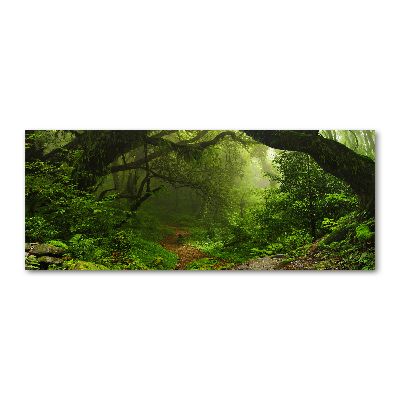 Foto en metacrilato horizontal Jungla en Nepal