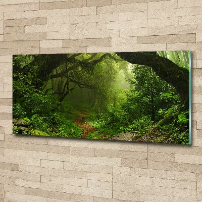 Foto en metacrilato horizontal Jungla en Nepal