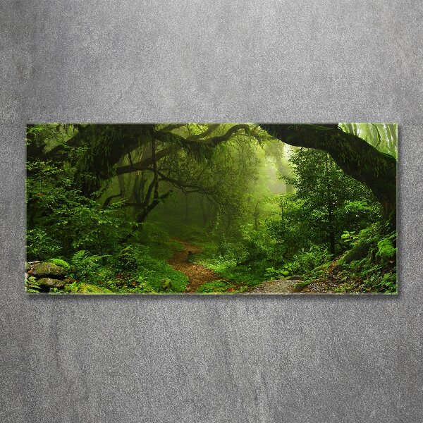 Foto en metacrilato horizontal Jungla en Nepal