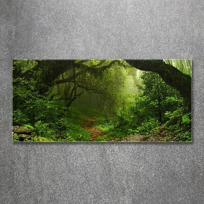 Foto en metacrilato horizontal Jungla en Nepal