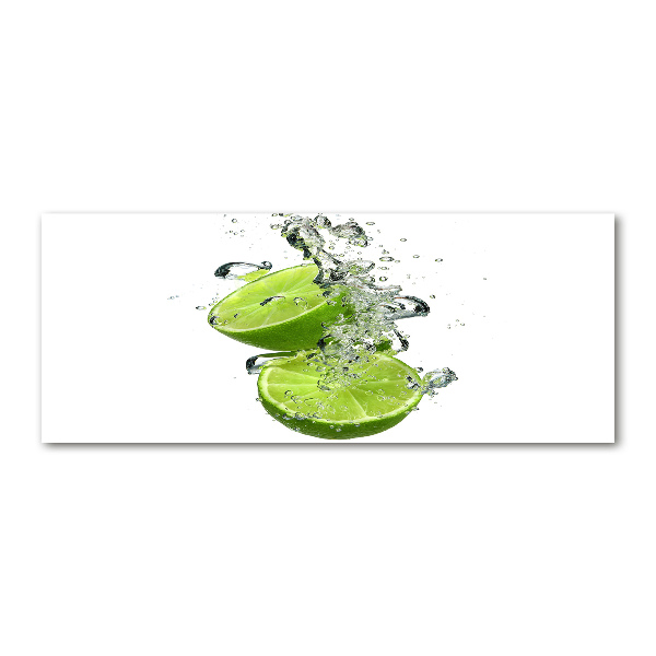 Pintura en acrílico horizontal Cal bajo el agua