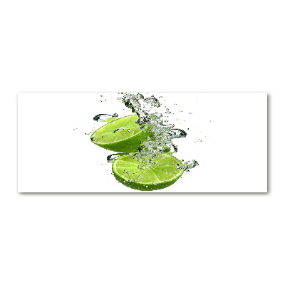 Pintura en acrílico horizontal Cal bajo el agua