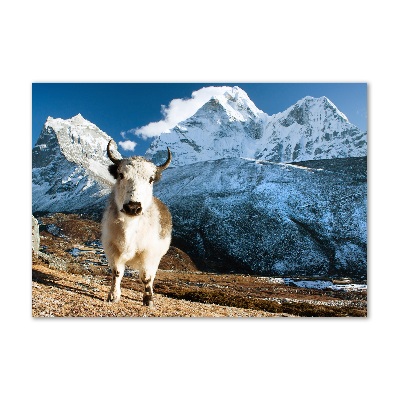 Foto en metacrilato horizontal Como las montañas