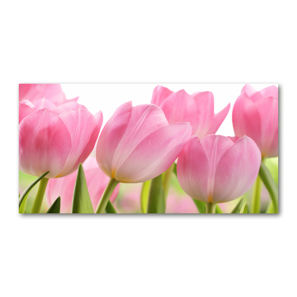 Cuadro metacrilato horizontal tulipanes rosados