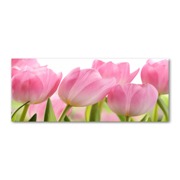 Cuadro metacrilato horizontal tulipanes rosados