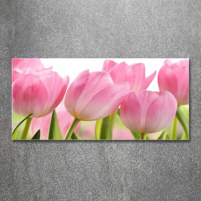 Cuadro metacrilato horizontal tulipanes rosados