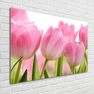 Cuadro metacrilato horizontal tulipanes rosados