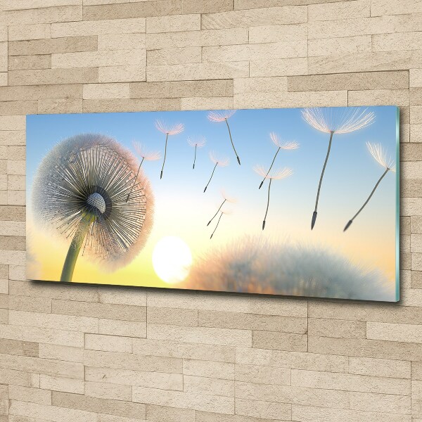 Cuadro metacrilato horizontal Diente de león