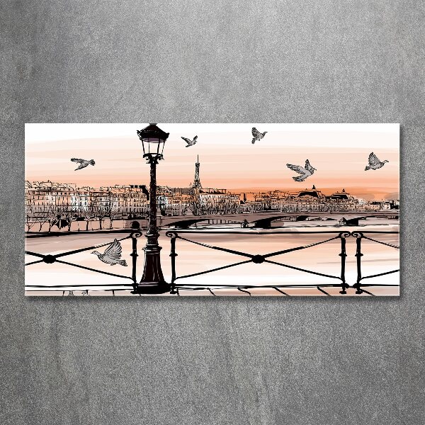 Cuadro acrílico horizontal Crepúsculo en París