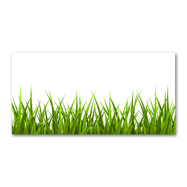 Obraz zdjęcie nowoczesny akrylowy Trawa