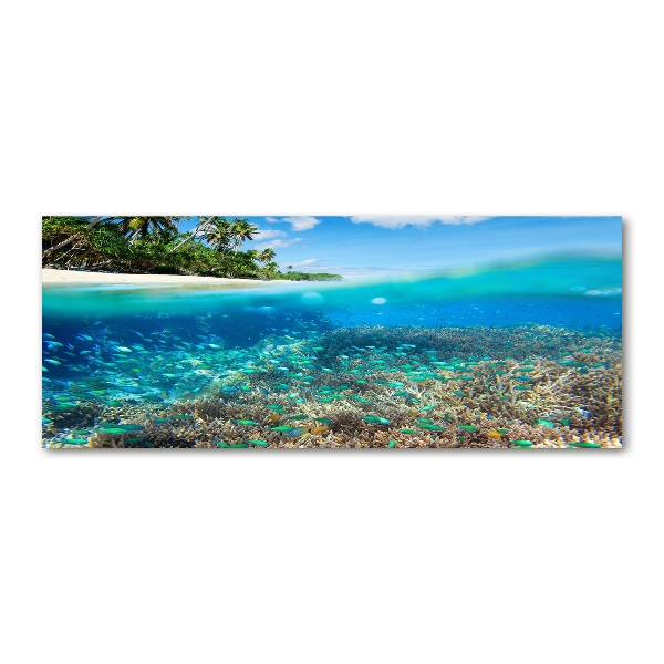 Foto en metacrilato horizontal Arrecife de coral