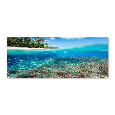 Foto en metacrilato horizontal Arrecife de coral