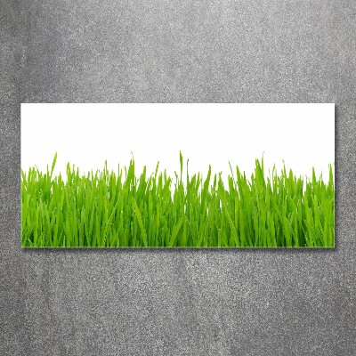 Foto en metacrilato horizontal Césped
