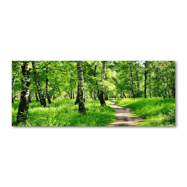 Cuadro acrílico horizontal bosque de abedules