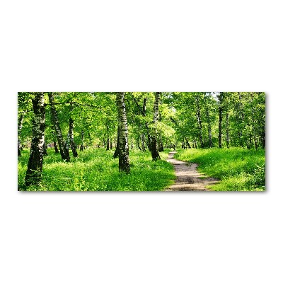 Cuadro acrílico horizontal bosque de abedules