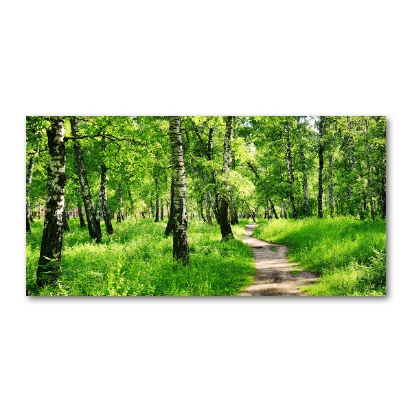 Cuadro acrílico horizontal bosque de abedules