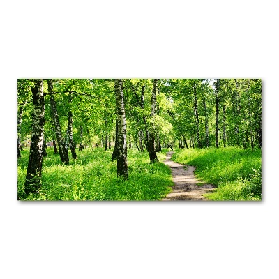 Cuadro acrílico horizontal bosque de abedules