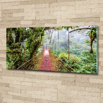 Foto en metacrilato horizontal Un puente en los trópicos