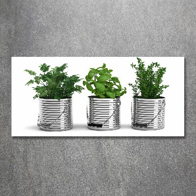 Cuadro acrílico horizontal Plantas aromáticas