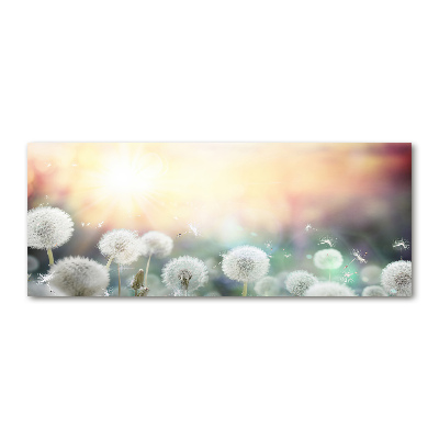 Cuadro metacrilato horizontal Campo de dientes de león