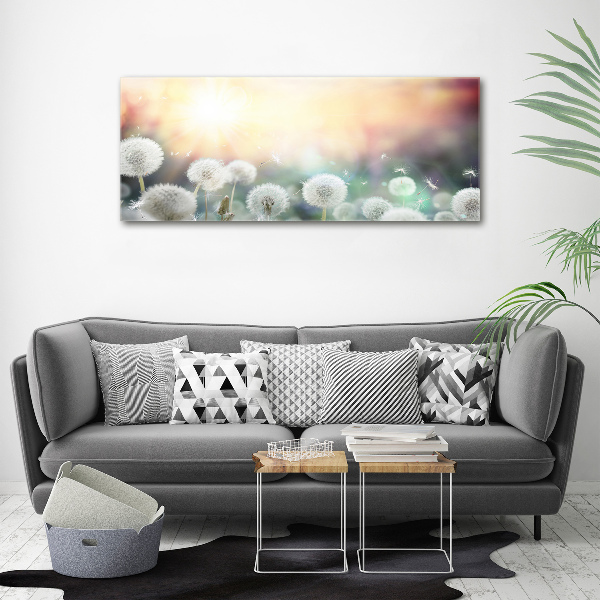 Cuadro metacrilato horizontal Campo de dientes de león