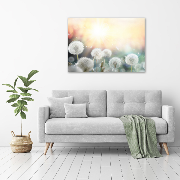 Cuadro metacrilato horizontal Campo de dientes de león