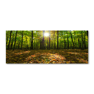 Cuadro acrílico horizontal Bosque