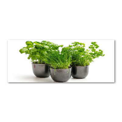 Pintura en acrílico horizontal Hierbas en macetas