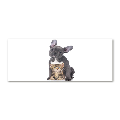 Cuadro acrílico horizontal Perro y gato