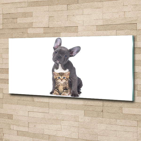 Cuadro acrílico horizontal Perro y gato