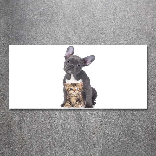 Obraz zdjęcie na ścianę akryl Pies i kot
