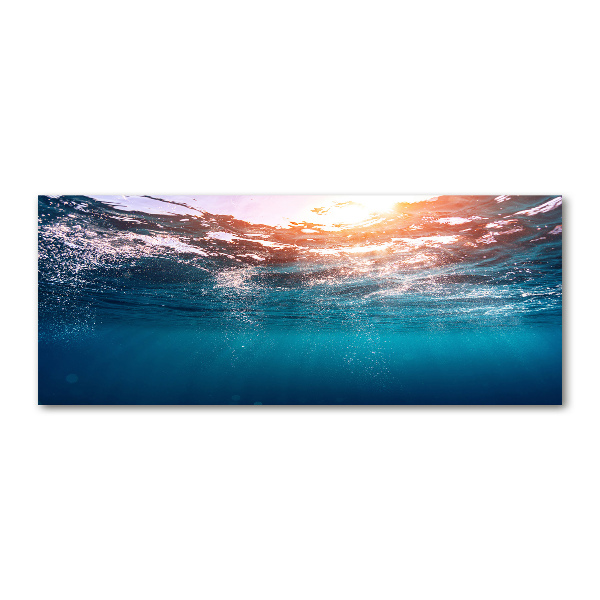 Foto en metacrilato horizontal Mundo submarino
