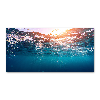 Foto en metacrilato horizontal Mundo submarino