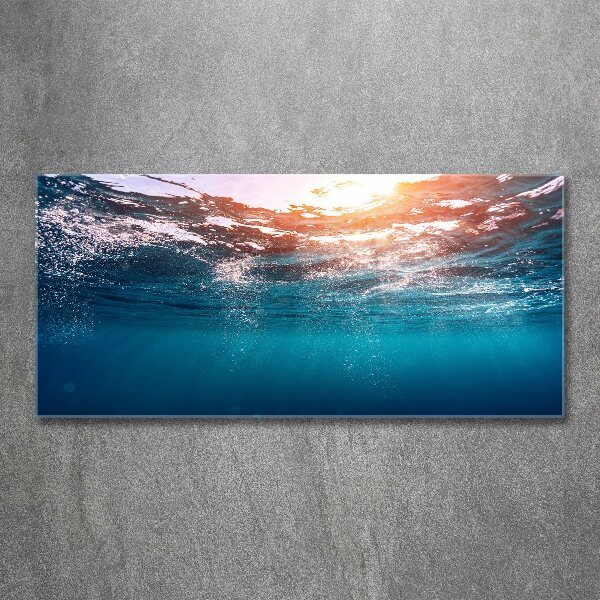 Foto en metacrilato horizontal Mundo submarino